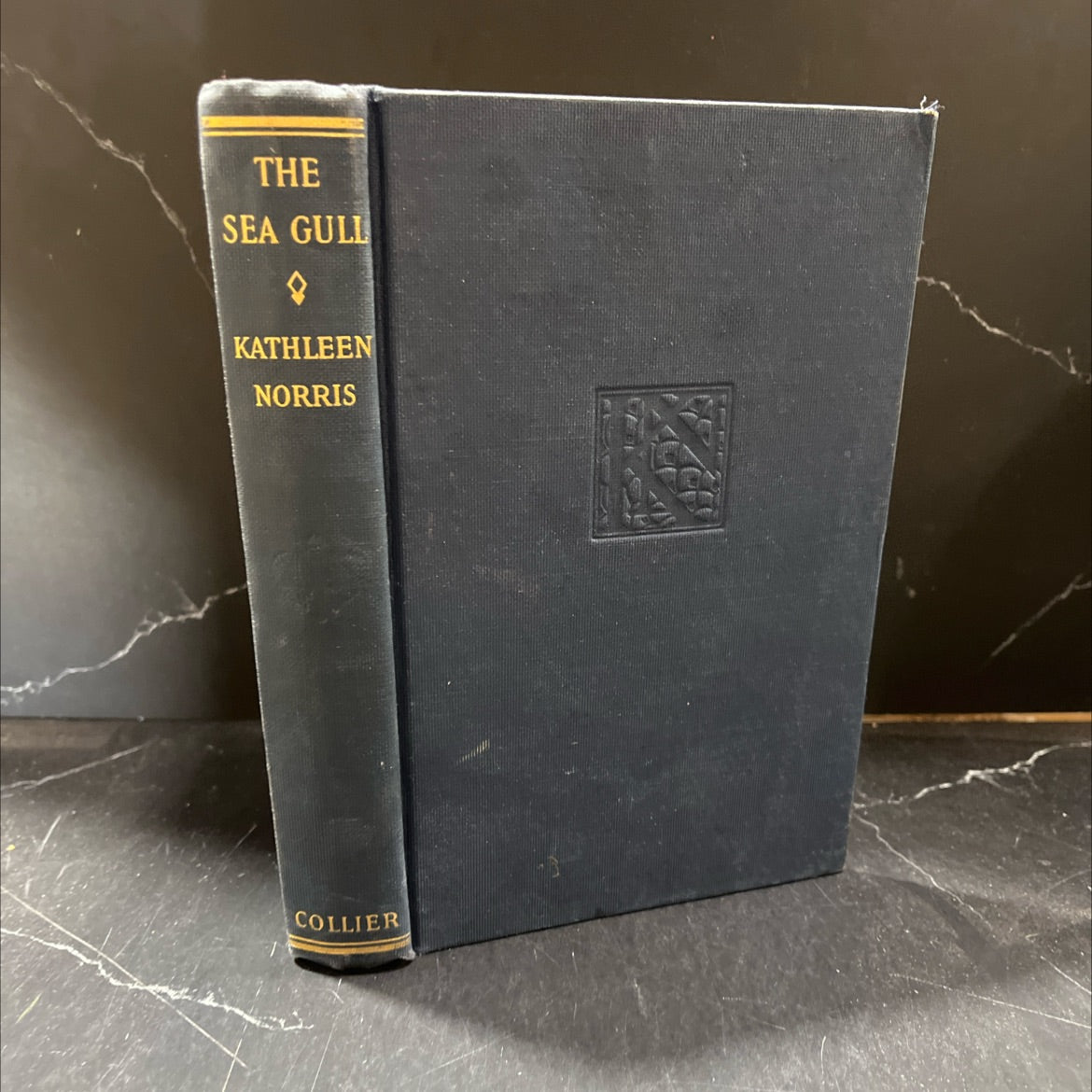 the sea gull book, by kathleen norris, 1927 Hardcover image 1