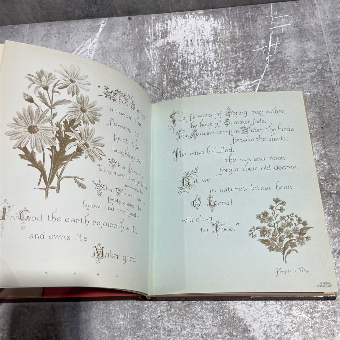 the seasons book, by louis lawrence, 1981 Hardcover image 4