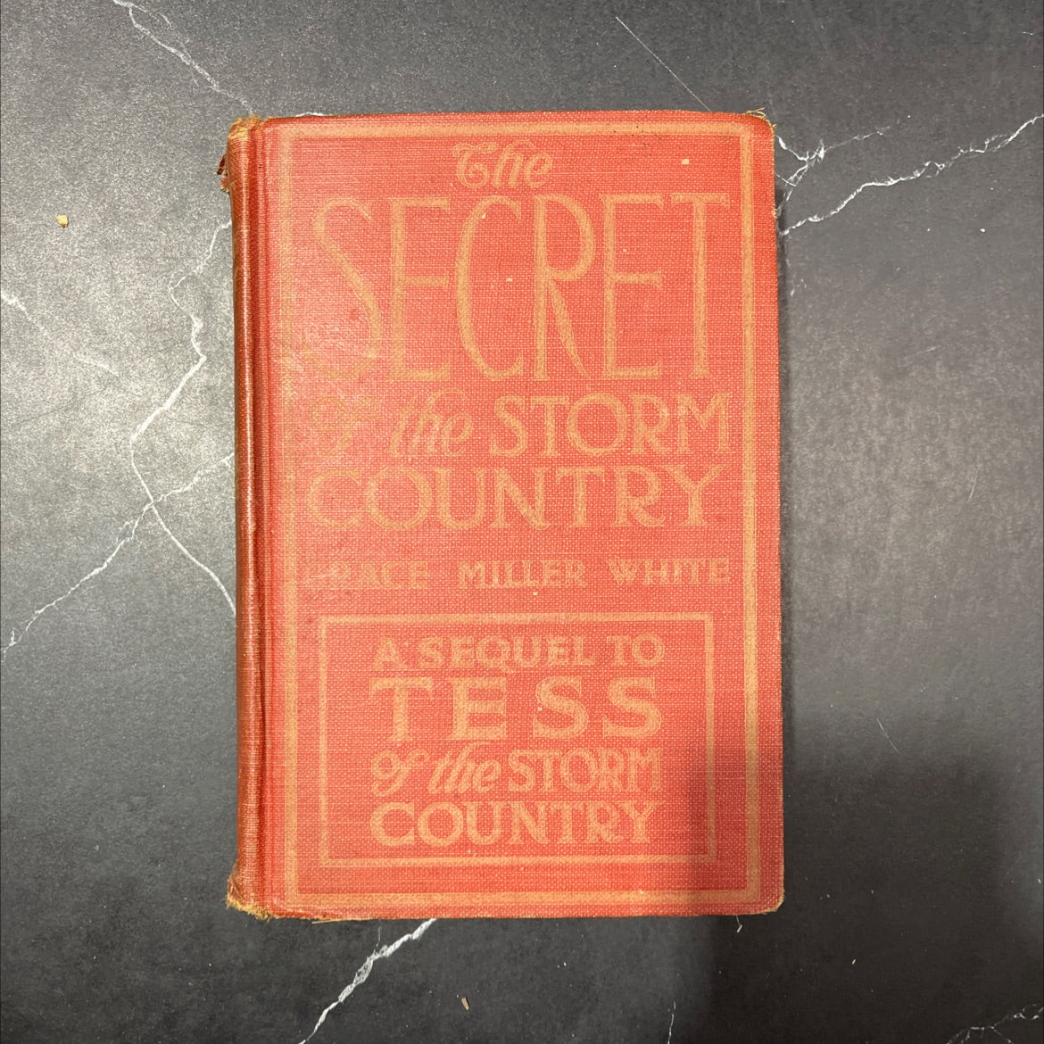 the secret of the storm country book, by grace miller white, 1917 Hardcover image 1