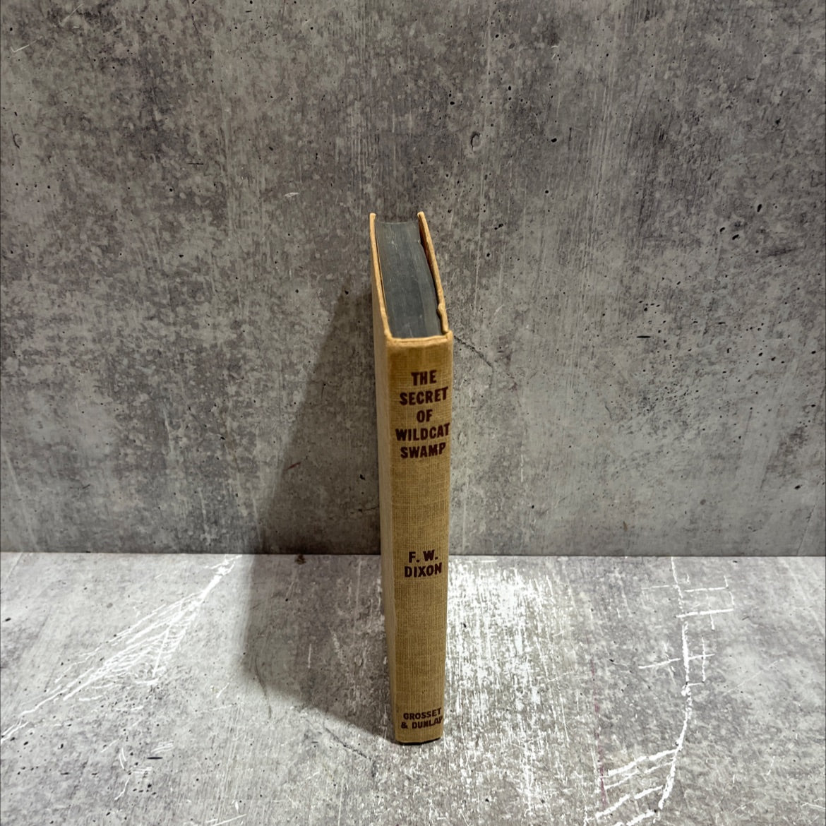 the secret of wildcat swamp book, by franklin w. dixon, 2012 Hardcover image 4