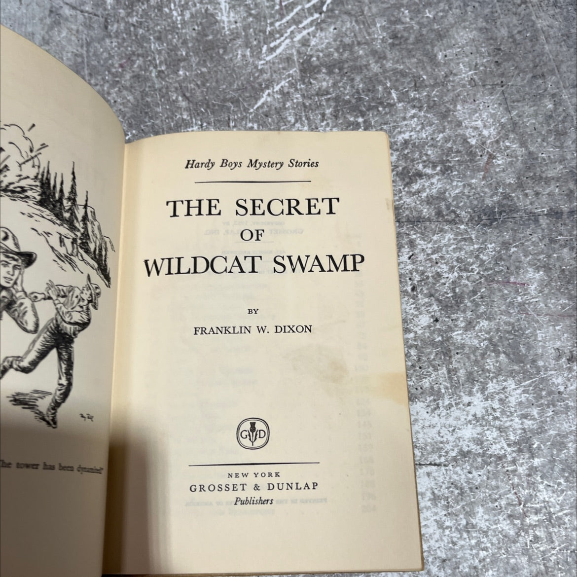 the secret of wildcat swamp book, by franklin w. dixon, 2012 Hardcover image 2