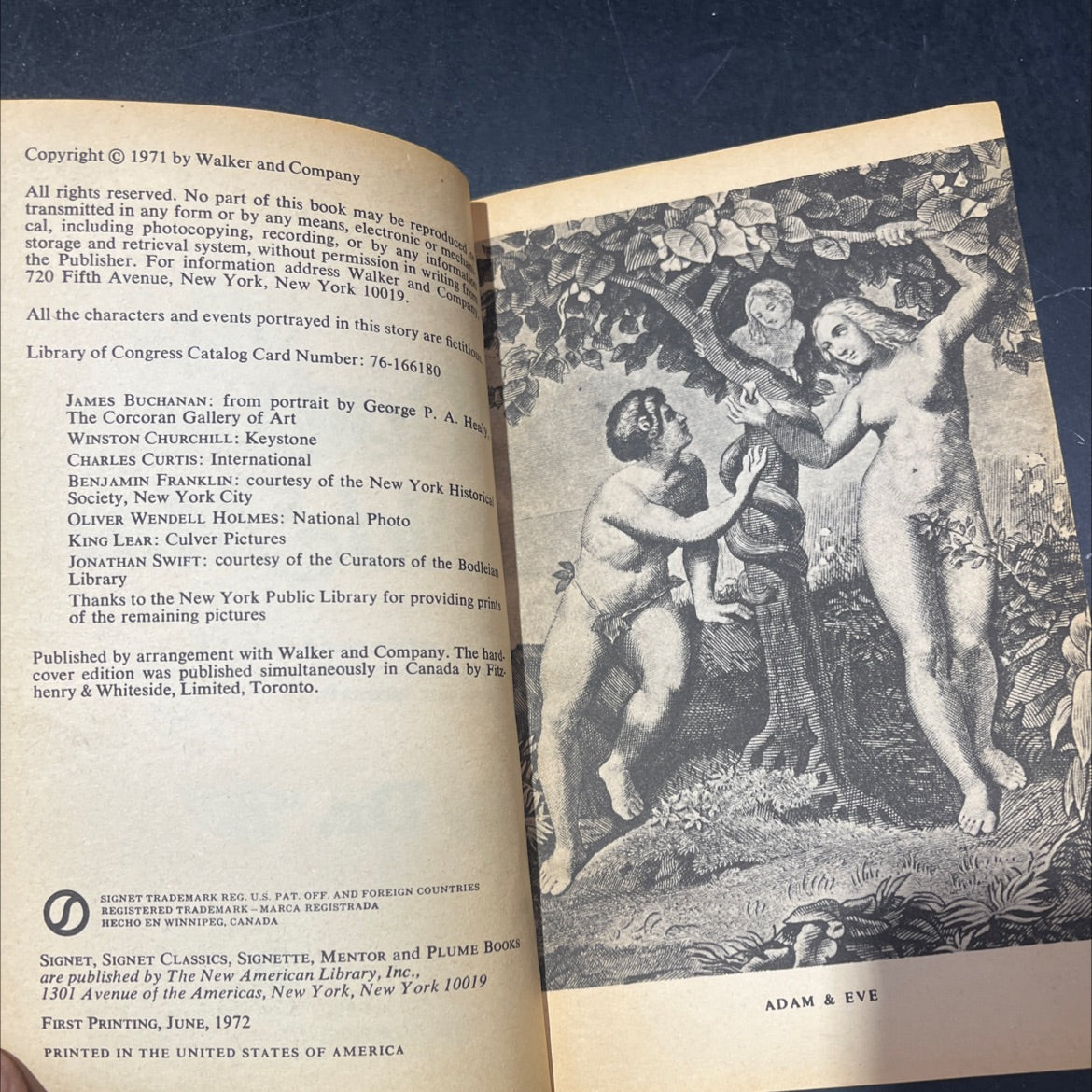 the sensuous dirty old man book, by Dr. \"A\", 1971 Paperback image 3