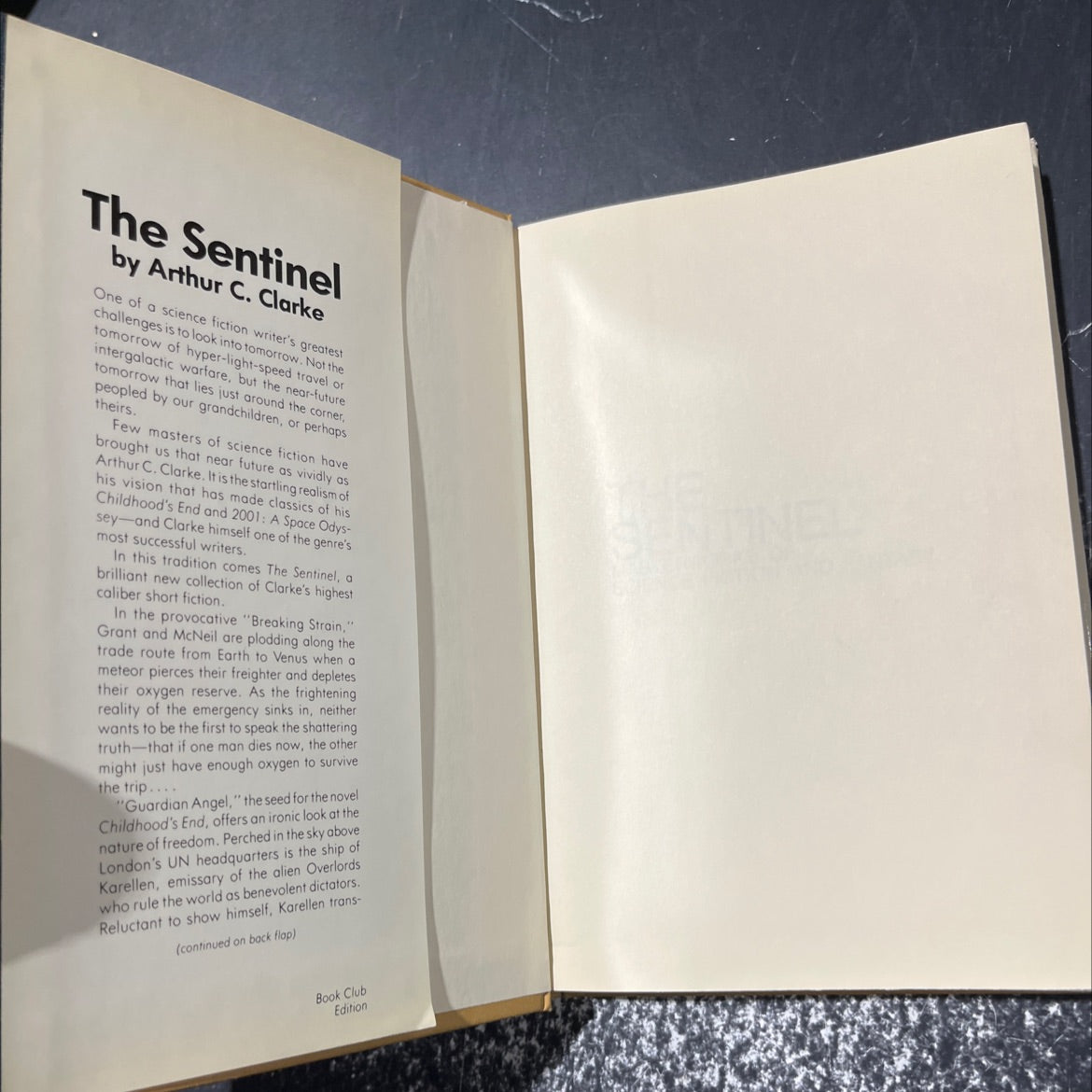 the sentinel book, by arthur c. clarke, 1983 Hardcover image 4