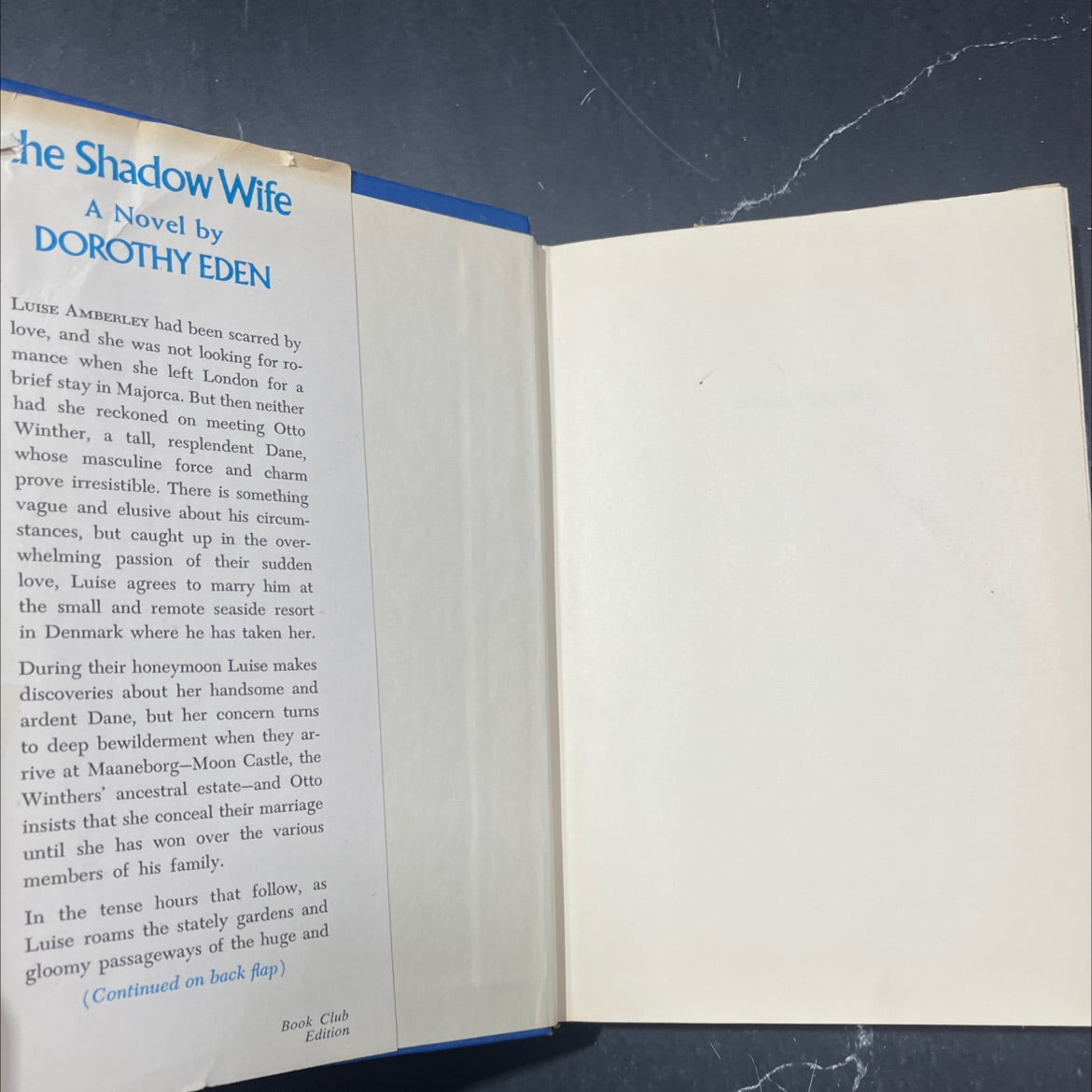 the shadow wife book, by dorothy eden, 1968 Hardcover image 4