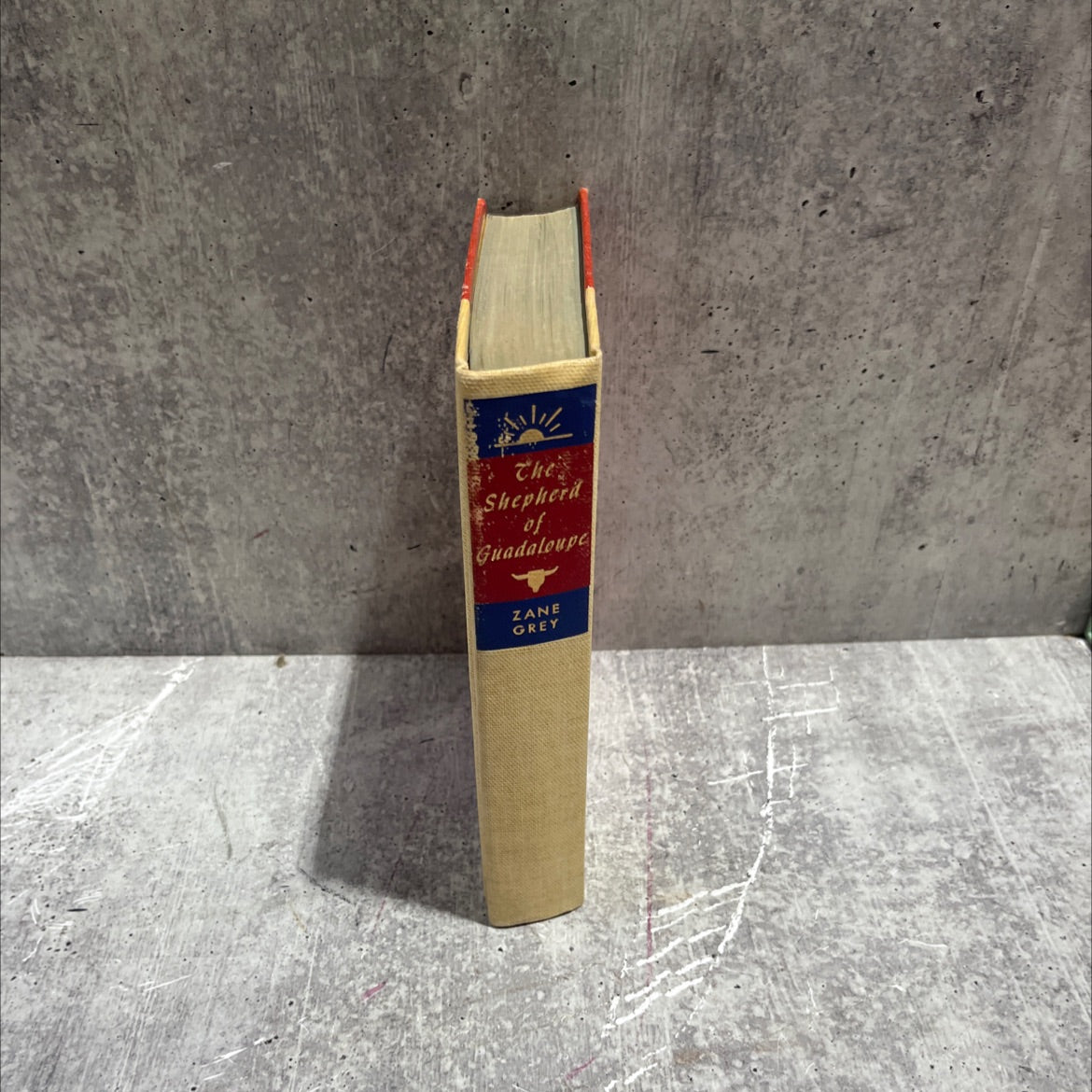 the shepherd of guadaloupe book, by zane grey, 1930 Hardcover image 4