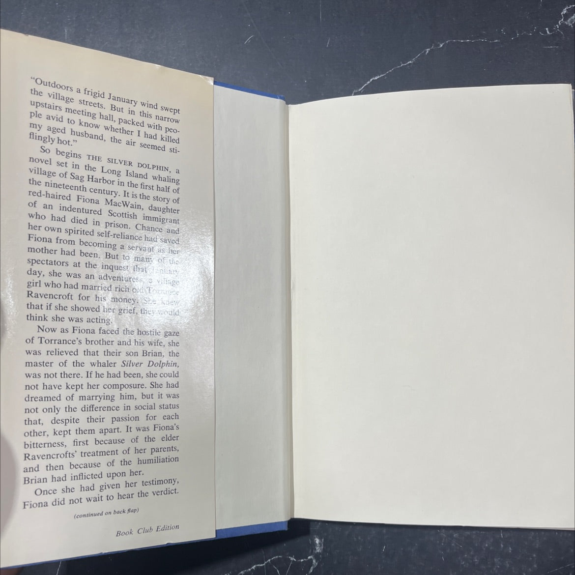 the silver dolphin book, by Velda Johnston, 1979 Hardcover image 4