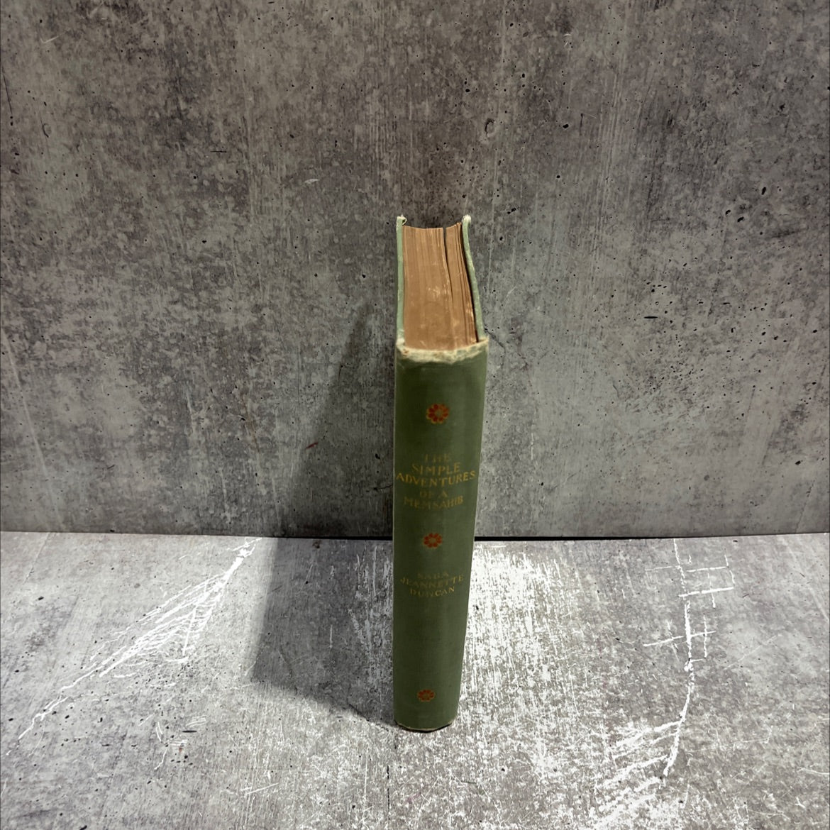 the simple adventures of a memsahib book, by sara jeannette duncan, 1893 Hardcover image 4