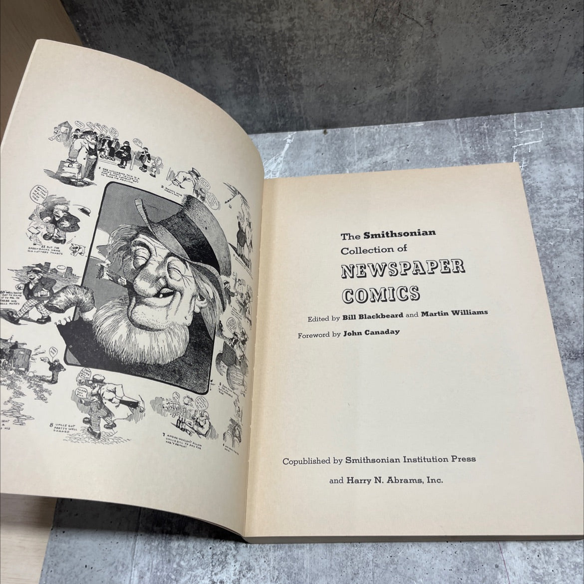 the smithsonian collection of newspaper comics book, by Bill Blackbeard, Martin Williams, 1977 Paperback image 2