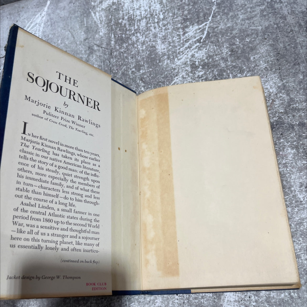 the sojourner book, by marjorie kinnan rawlings, 1953 Hardcover image 4