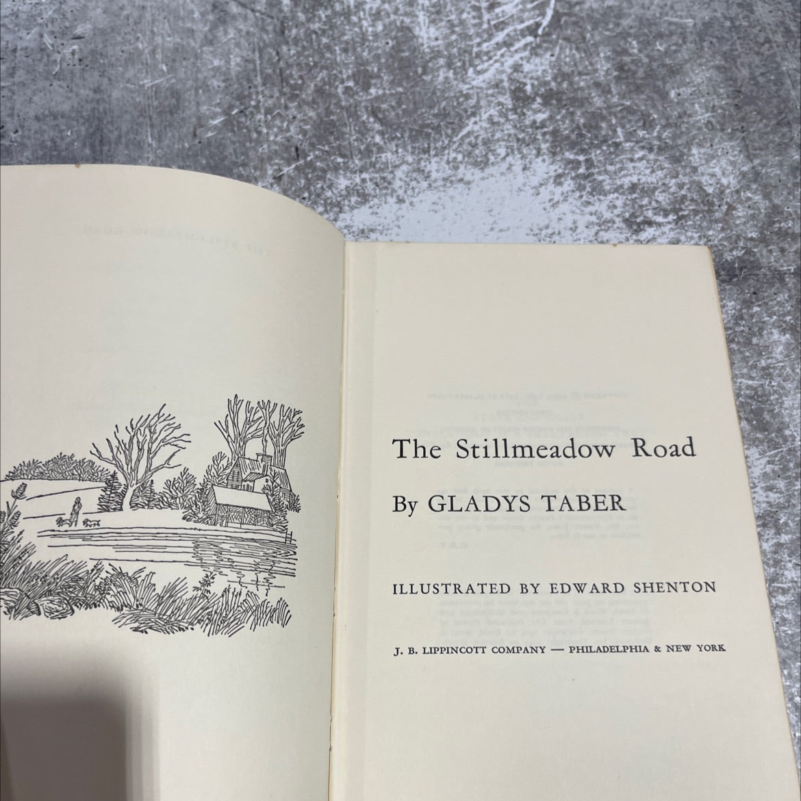 the stillmeadow road book, by gladys taber, 1962 Hardcover image 2
