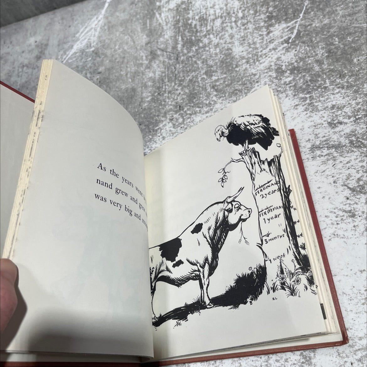 the story of ferdinand book, by munro leaf, 1964 Hardcover image 4