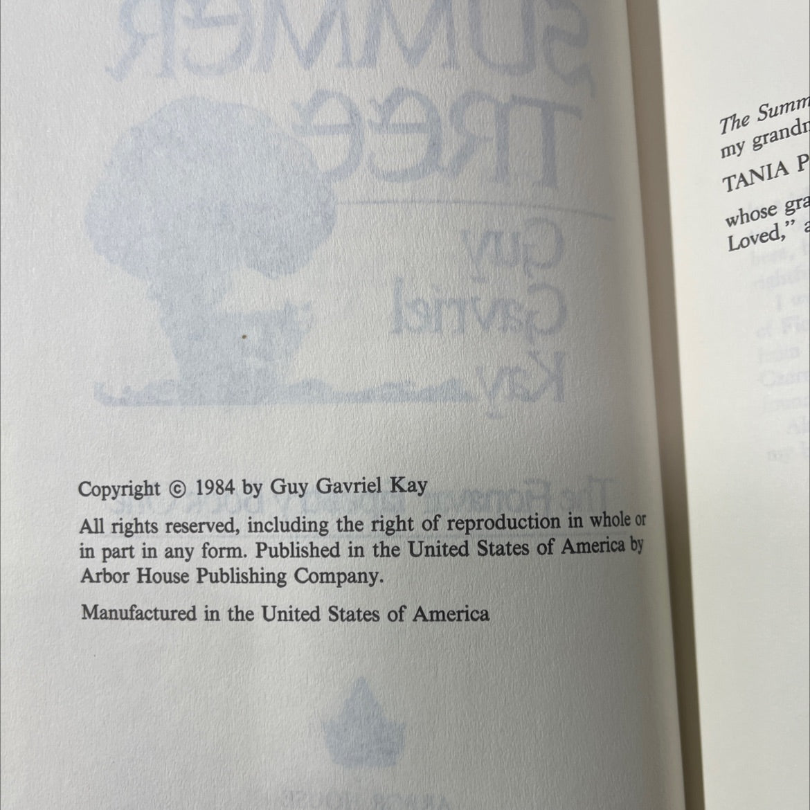 the summer tree book, by Guy Gavriel Kay, 1984 Hardcover image 3
