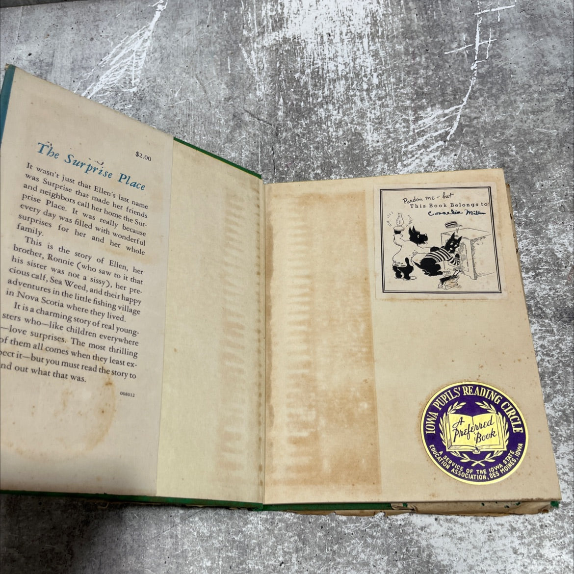 the surprise place book, by mary graham bonner, 1946 Hardcover image 4