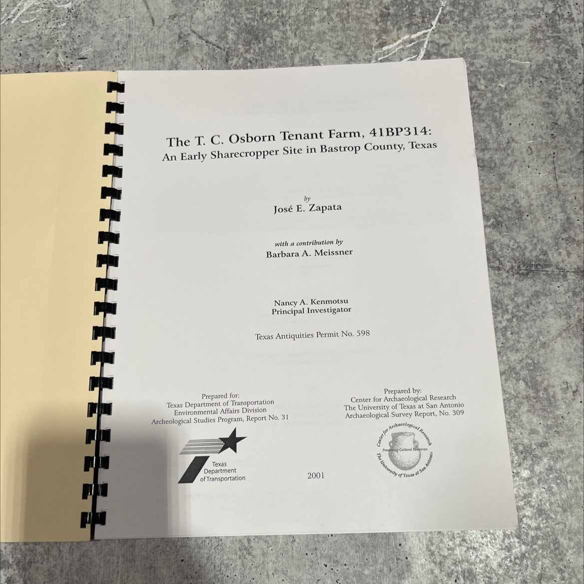 the t. c. osborn tenant farm, 41bp314: an early sharecropper site in bastrop county, texas book, by José E. Zapata, image 2