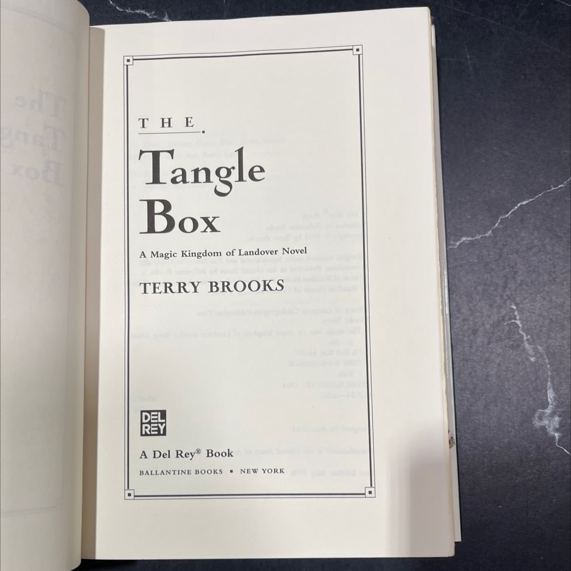 the tangle box book, by Terry Brooks, 1994 Hardcover, First Edition image 2