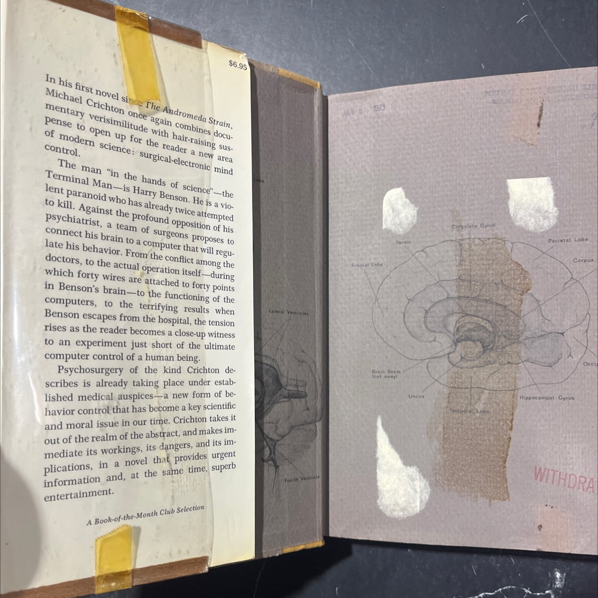 the terminal man book, by michael crichton, 1972 Hardcover image 4