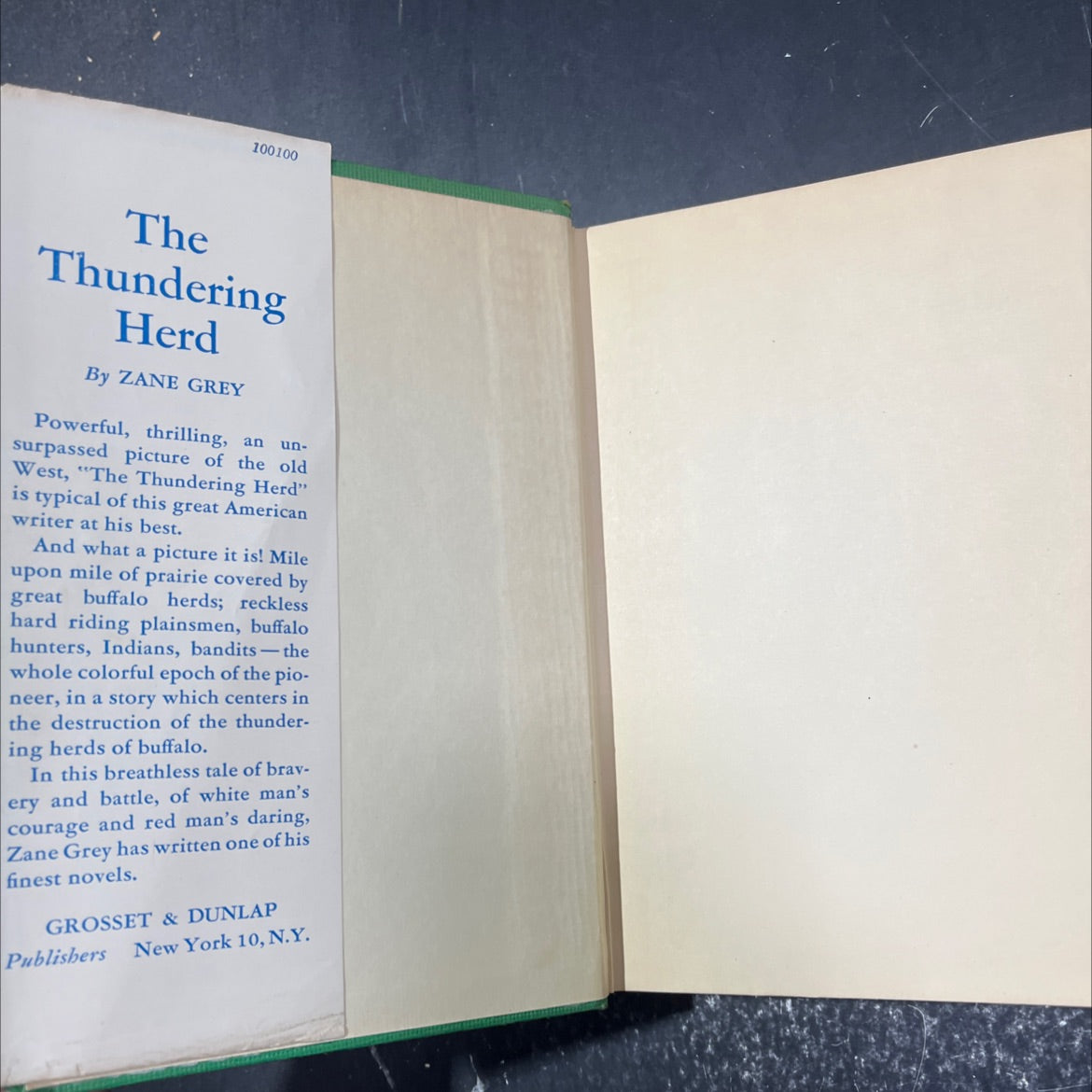 the thundering herd book, by zane grey, 1925 Hardcover image 4
