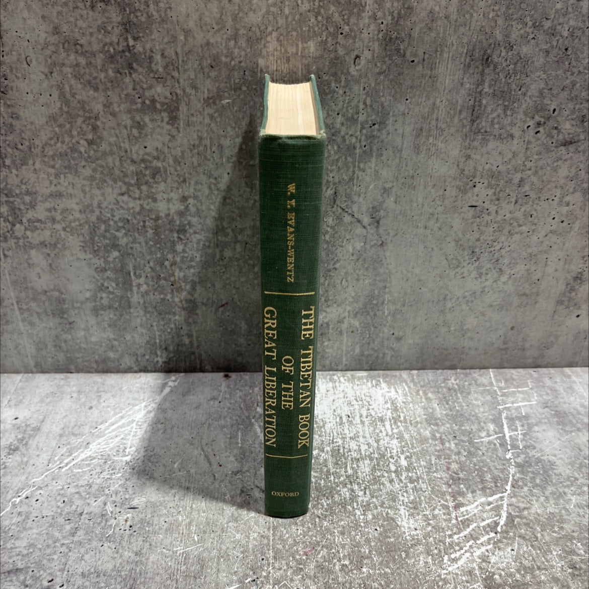 the tibetan book of the great liberation or the method of realizing nirvana through knowing the mind preceded by an image 4