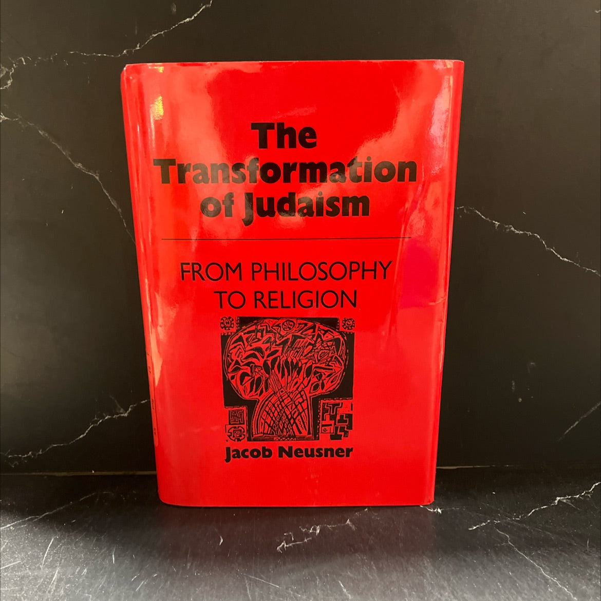 the transformation of judaism from philosophy to religion book, by Jacob Neusner, 1992 Hardcover image 1