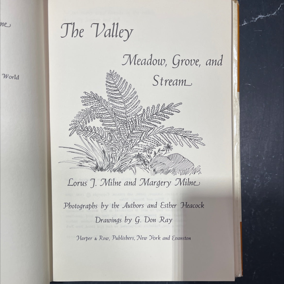the valley: meadow, grove, and stream book, by Lorus J. Milne and Margery Milne, 1963 Hardcover image 2