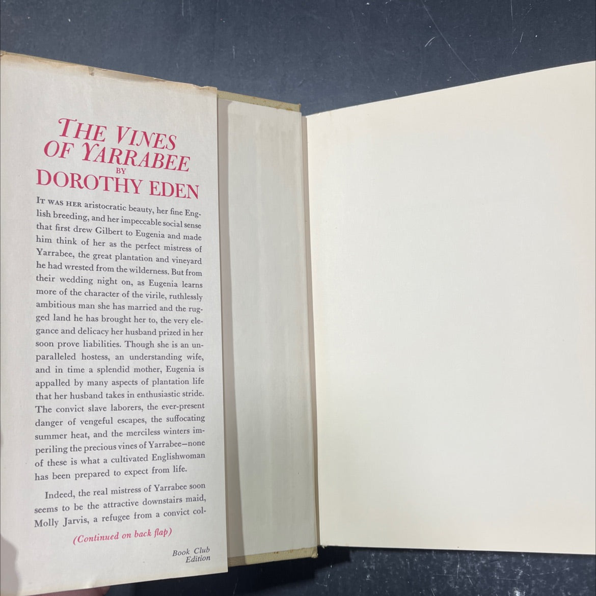 the vines of yarrabee book, by dorothy eden, 1969 Hardcover image 4
