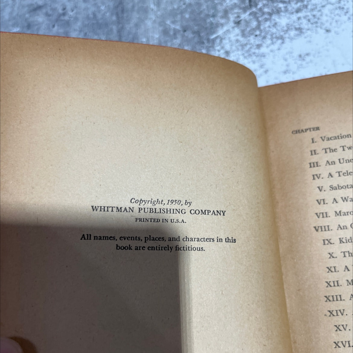 the walton boys and rapids ahead book, by hal burton, 1950 Hardcover image 3