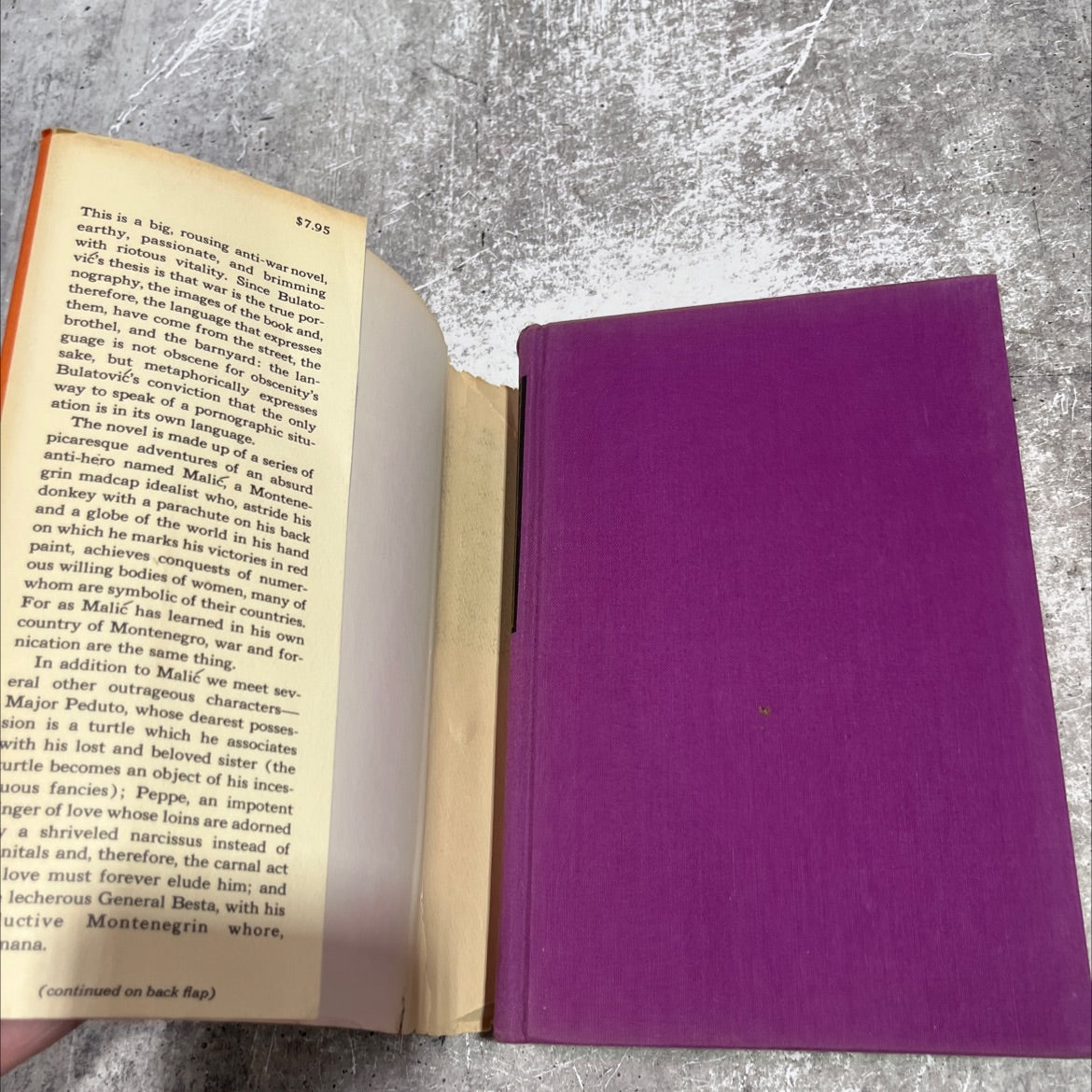 the war was better book, by miodrag bulatović, 1972 Hardcover image 4