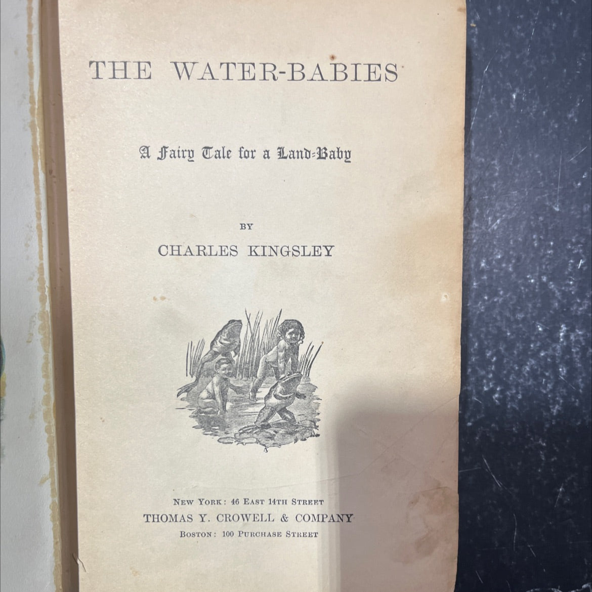 the water-babies a fairy tale for a land-baby book, by charles kingsley, 1895 Hardcover image 2