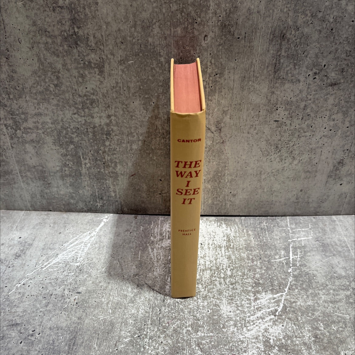 the way i see it book, by eddie cantor, 1959 Hardcover image 4