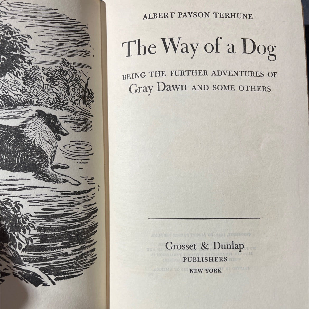 the way of a dog being the further adventures of gray dawn and some others book, by albert payson terhune, 1932 image 2