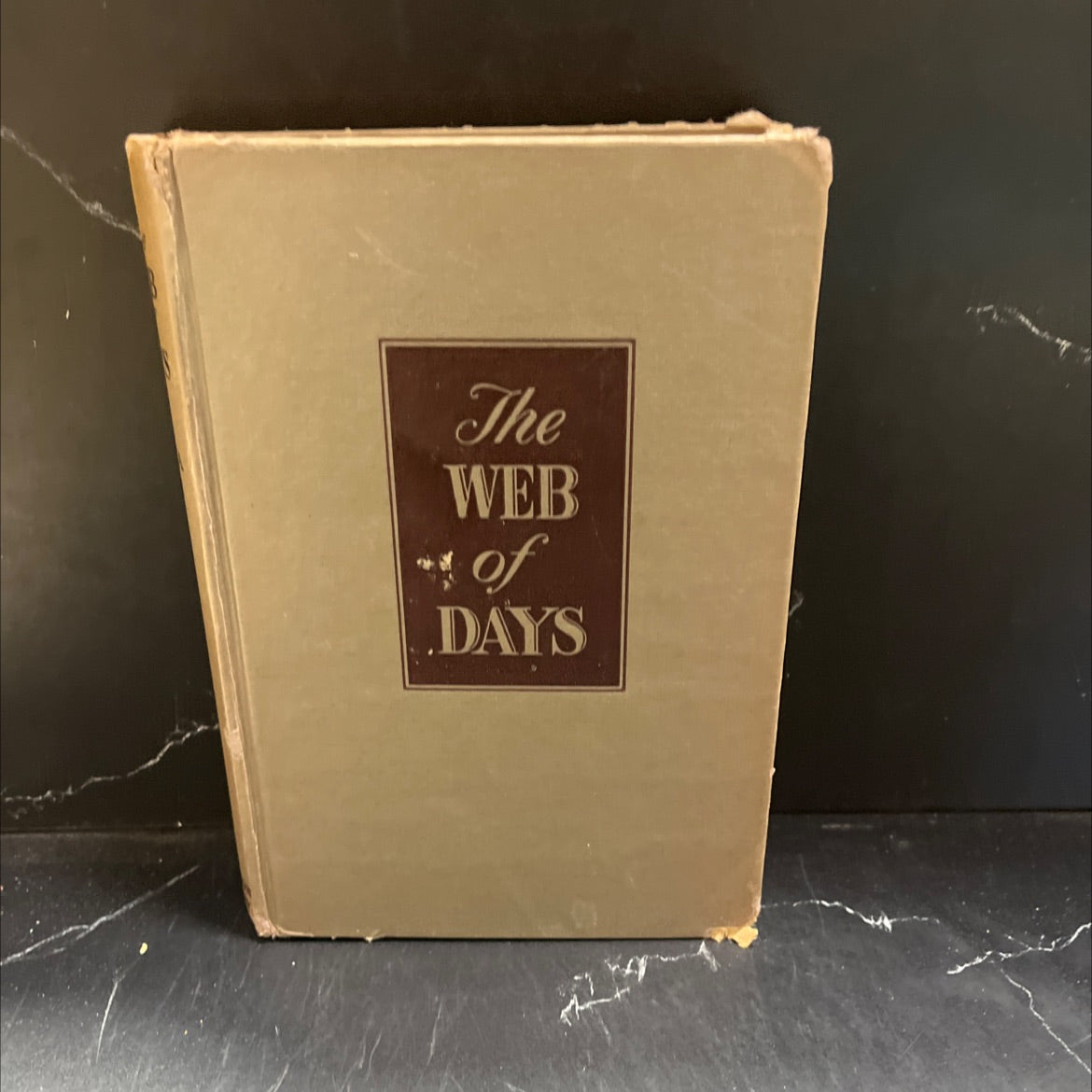 the web of days book, by edna l. lee, 1947 Hardcover image 1