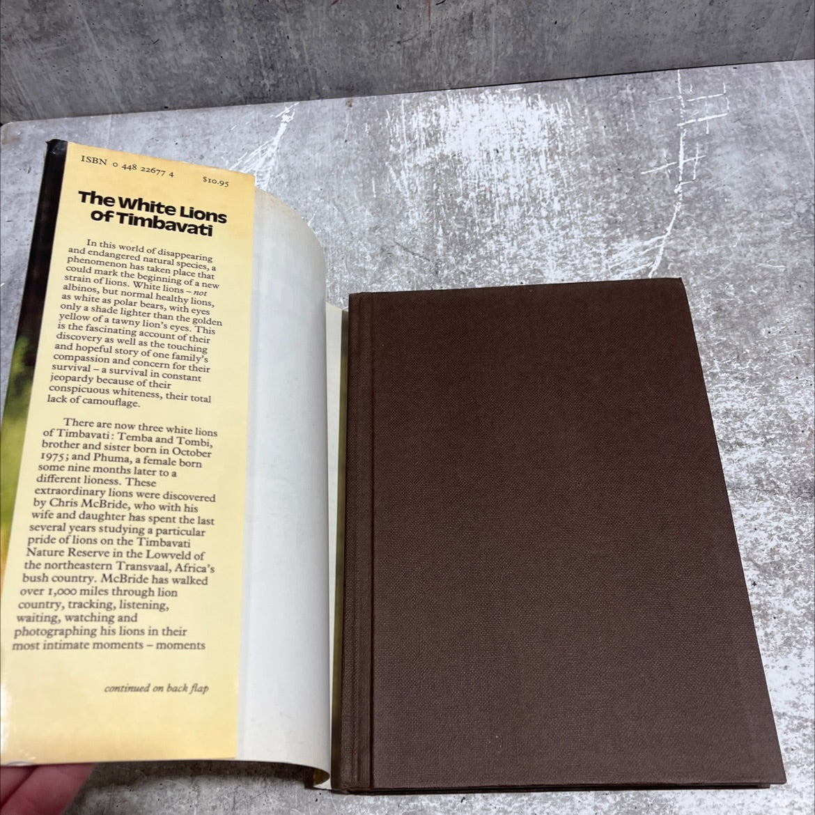 the white lions of timbavati book, by chris mcbride, 1977 Hardcover image 4