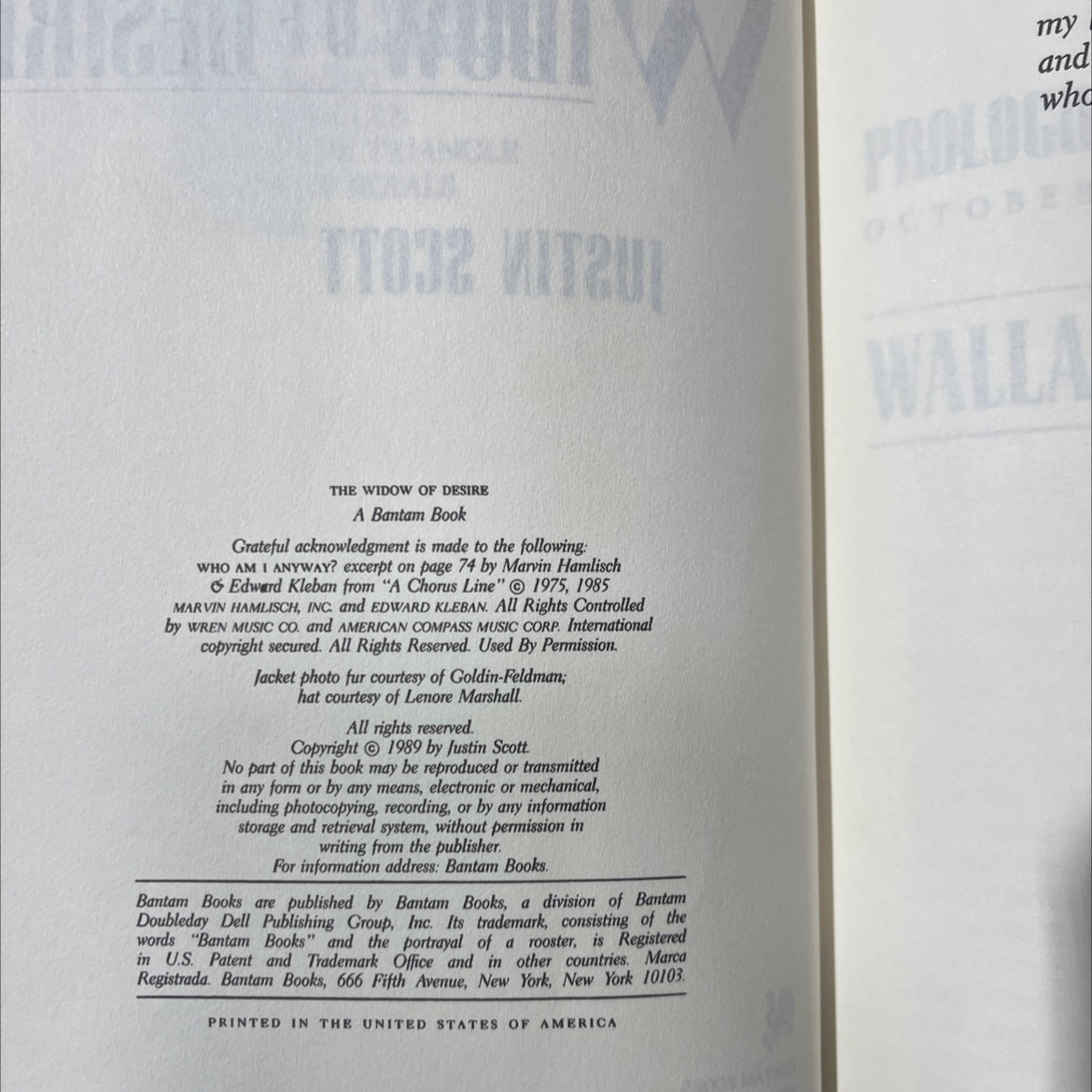 the widow of desire book, by justin scott, 1989 Hardcover image 3