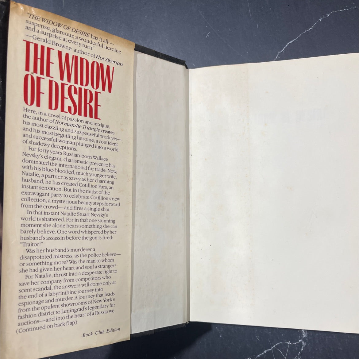 the widow of desire book, by justin scott, 1989 Hardcover image 4