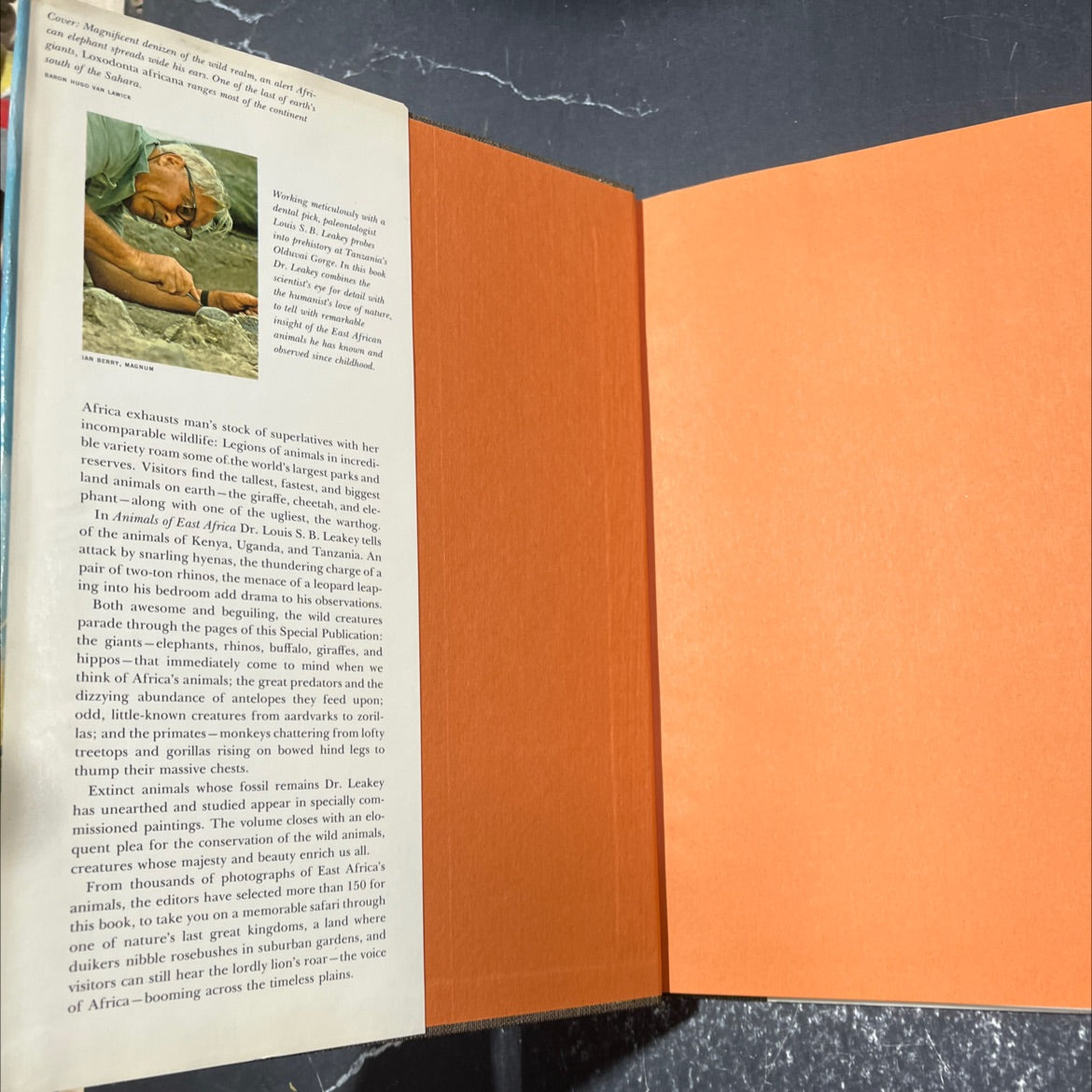 the wild realm: animals of east africa book, by louis s. b. leakey, 1969 Hardcover image 4