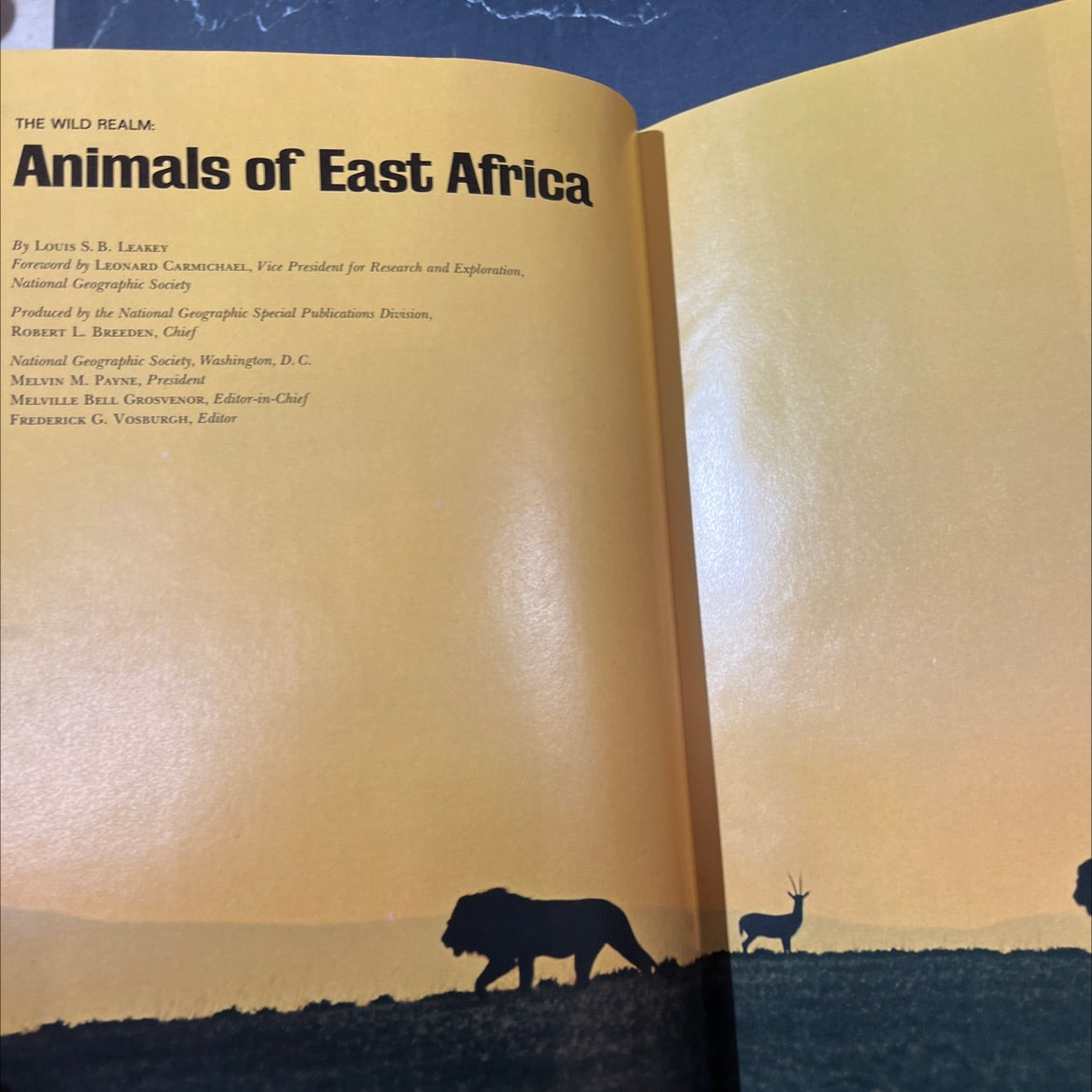 the wild realm: animals of east africa book, by louis s. b. leakey, 1969 Hardcover image 2