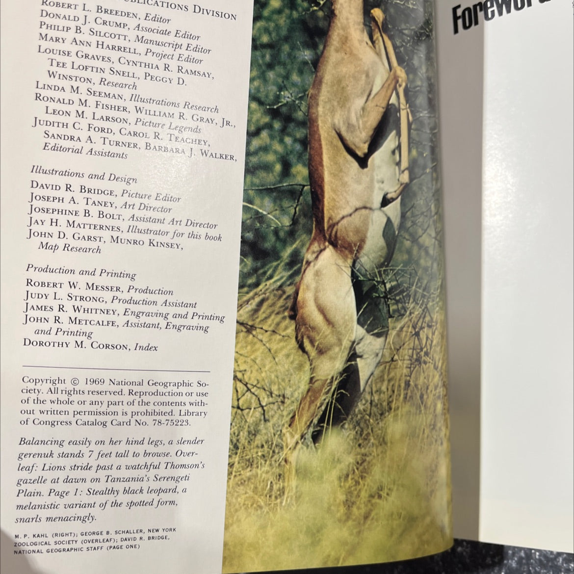 the wild realm: animals of east africa book, by louis s. b. leakey, 1969 Hardcover image 3
