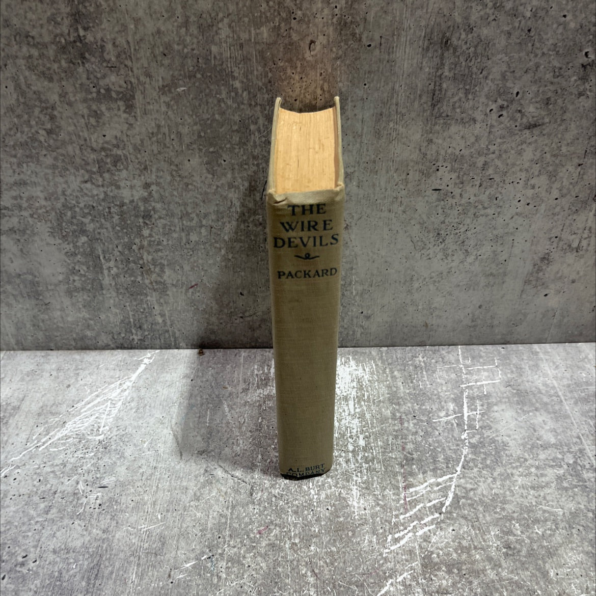 the wire devils book, by frank l. packard, 1918 Hardcover image 4