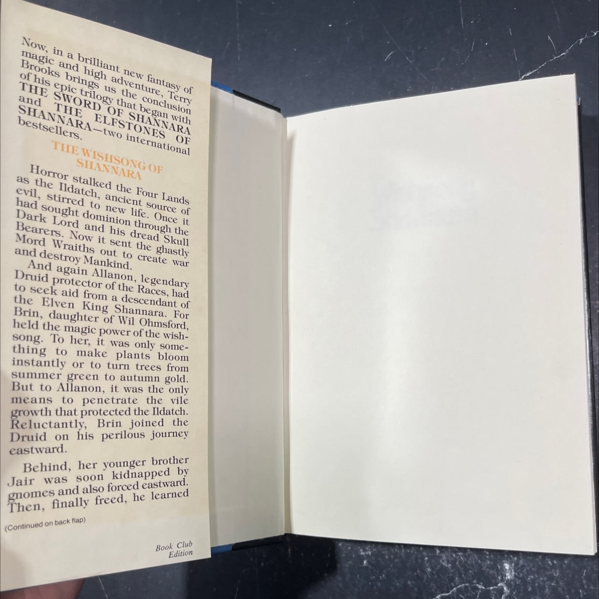 the wishsong shannara book, by terry brooks, 1985 Hardcover image 4