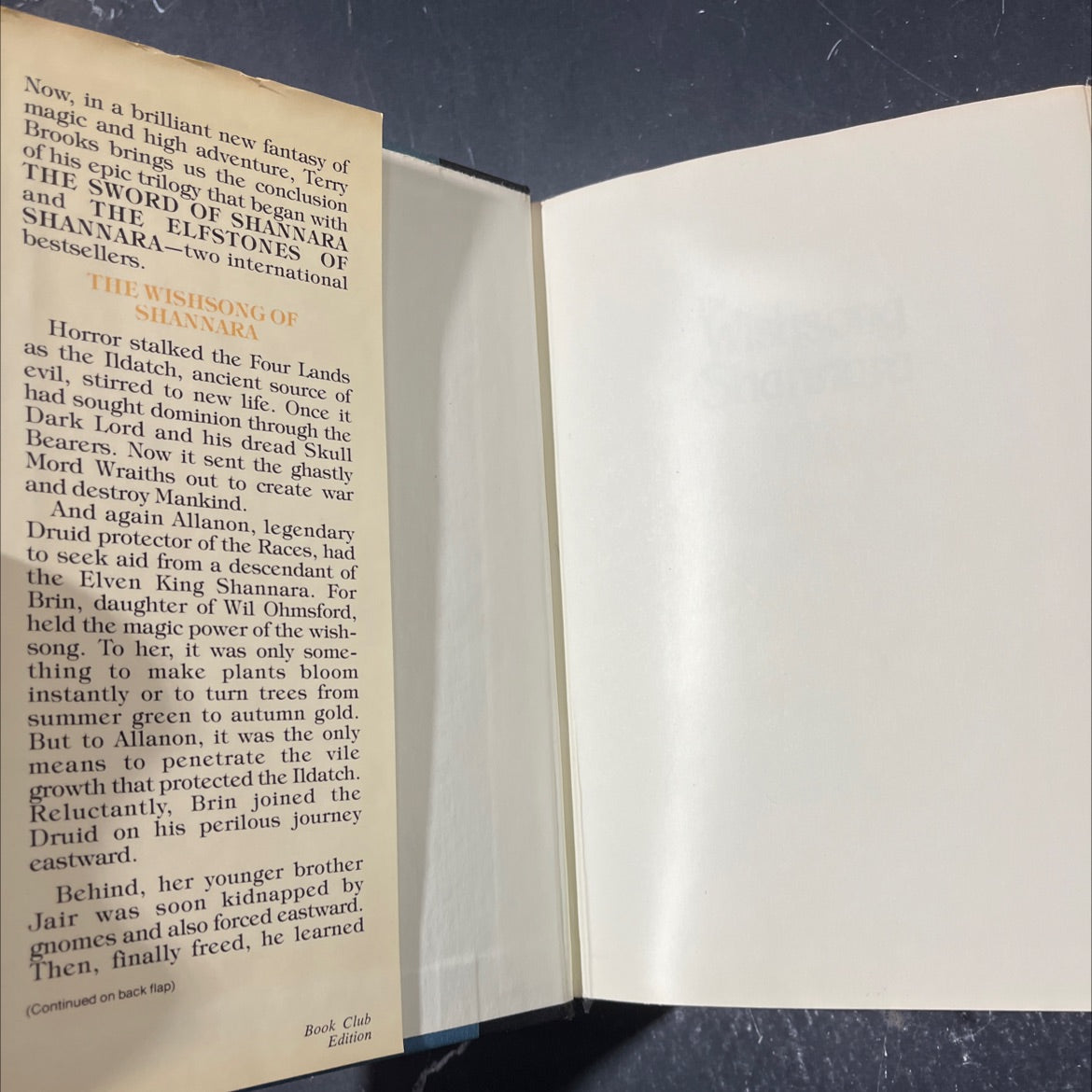 the wishsong shannara book, by terry brooks, 1985 Hardcover image 4