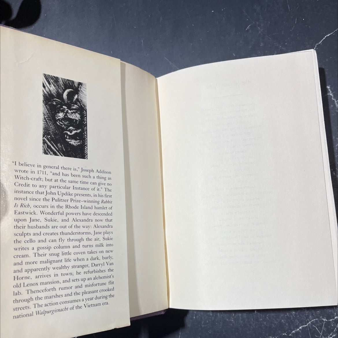 the witches of eastwick book, by John Updike, 1984 Hardcover image 4