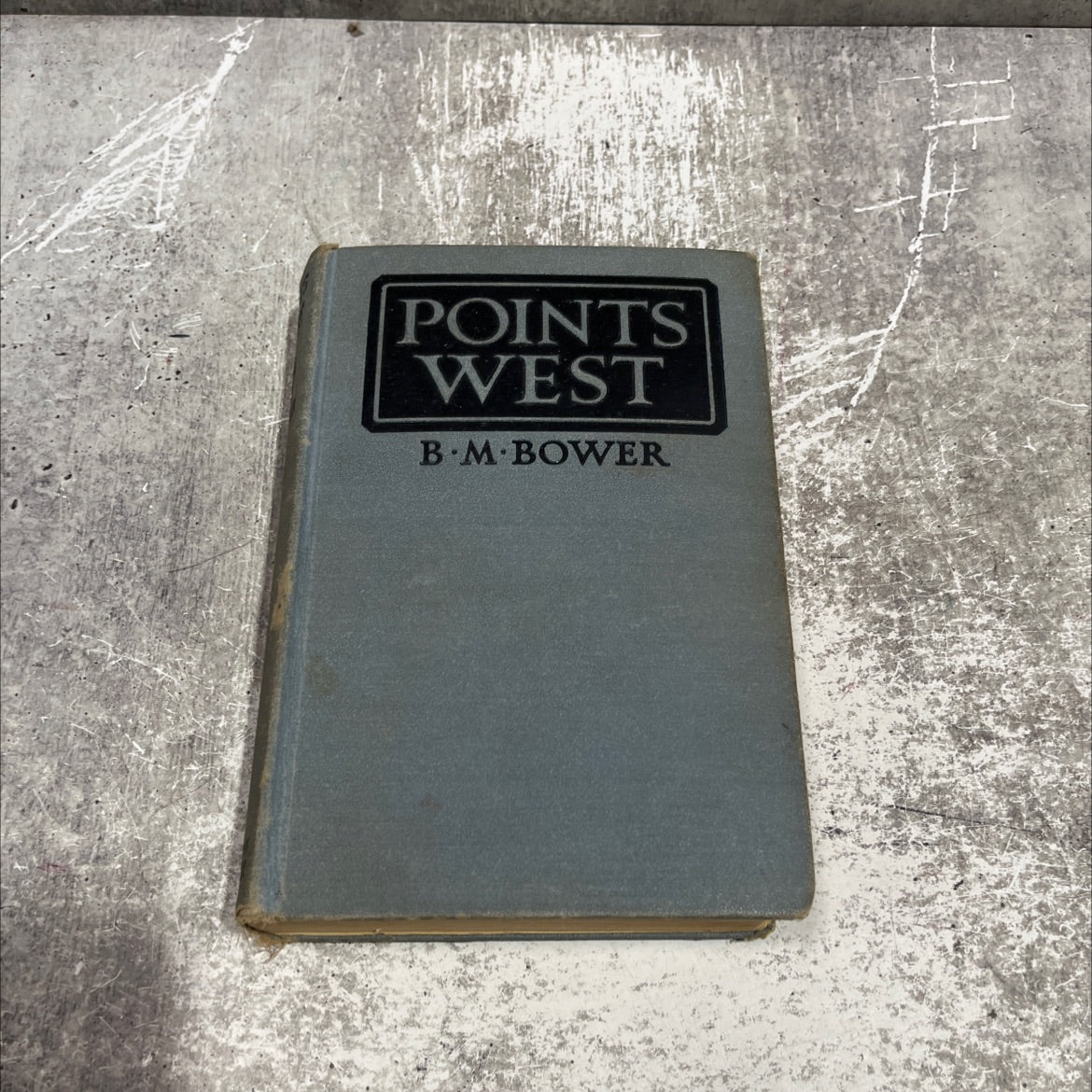 the wolverine's last stand of the sioux desert points west book, by b. m. bower, 1928 Hardcover image 1