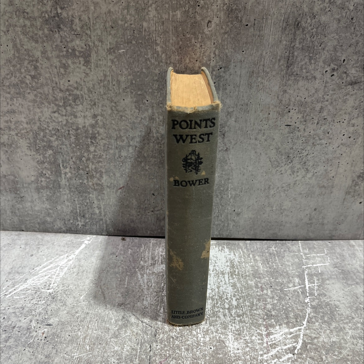 the wolverine's last stand of the sioux desert points west book, by b. m. bower, 1928 Hardcover image 4