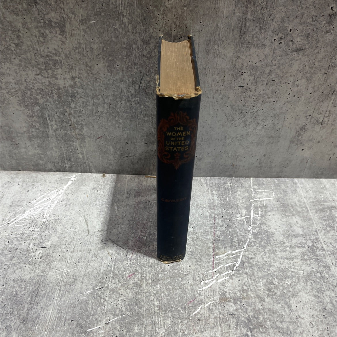 the women of the united states book, by c. de varigny, 1895 Hardcover image 4