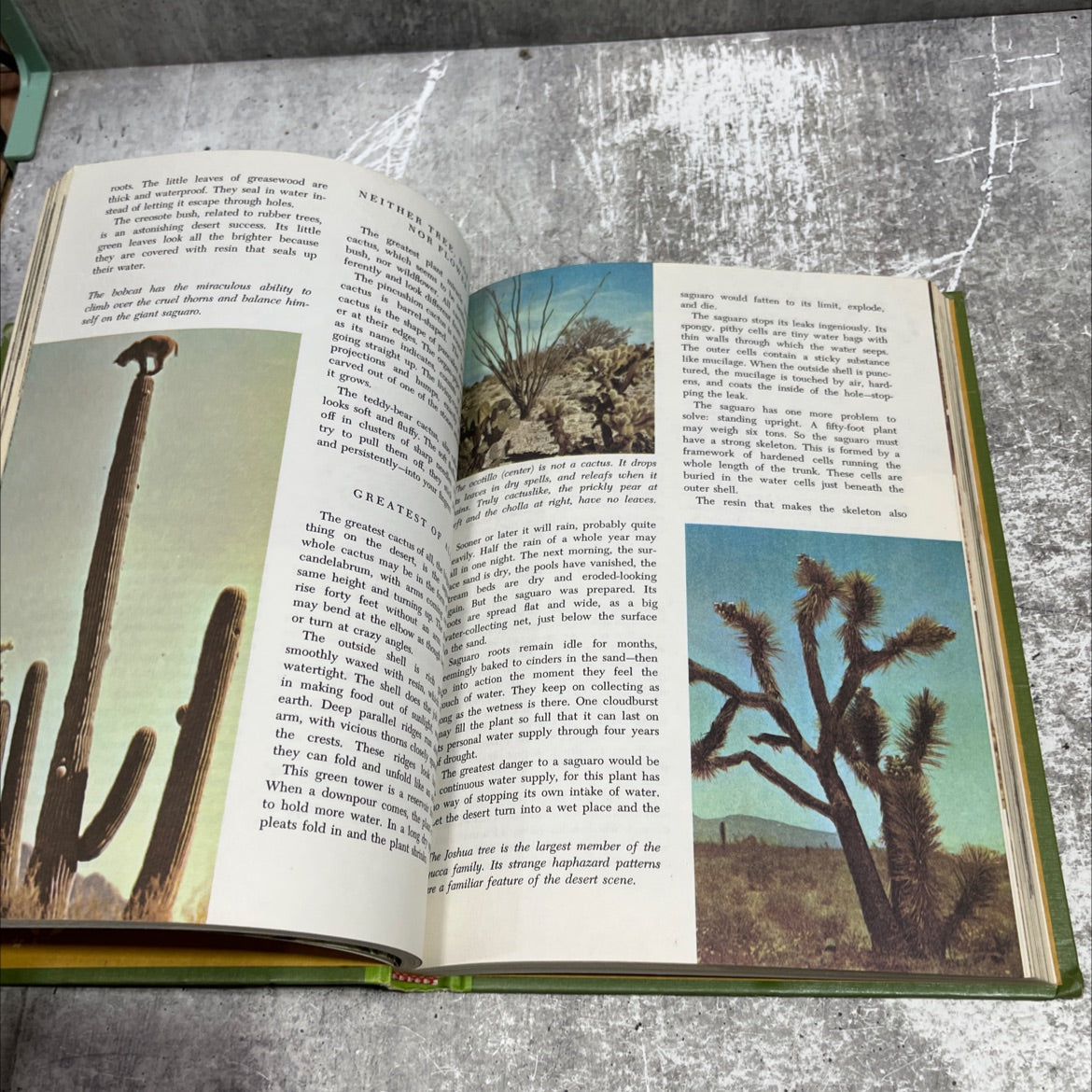 the wonderful worlds of walt disney worlds of nature book, by rutherford platt, 1965 Hardcover image 4