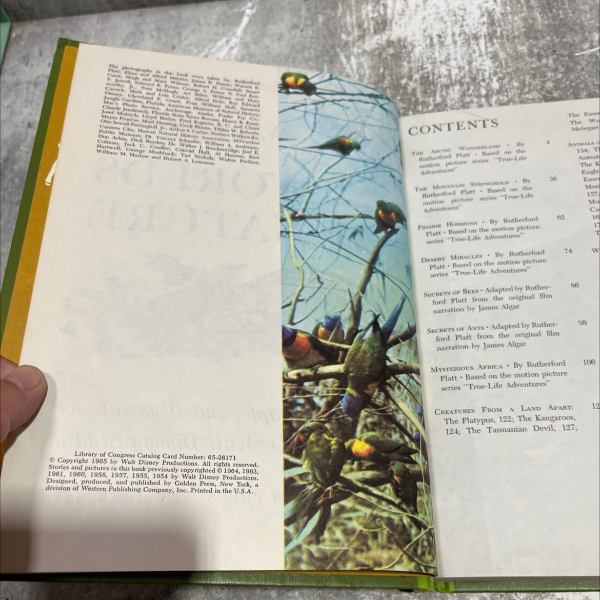 the wonderful worlds of walt disney worlds of nature book, by rutherford platt, 1965 Hardcover image 3