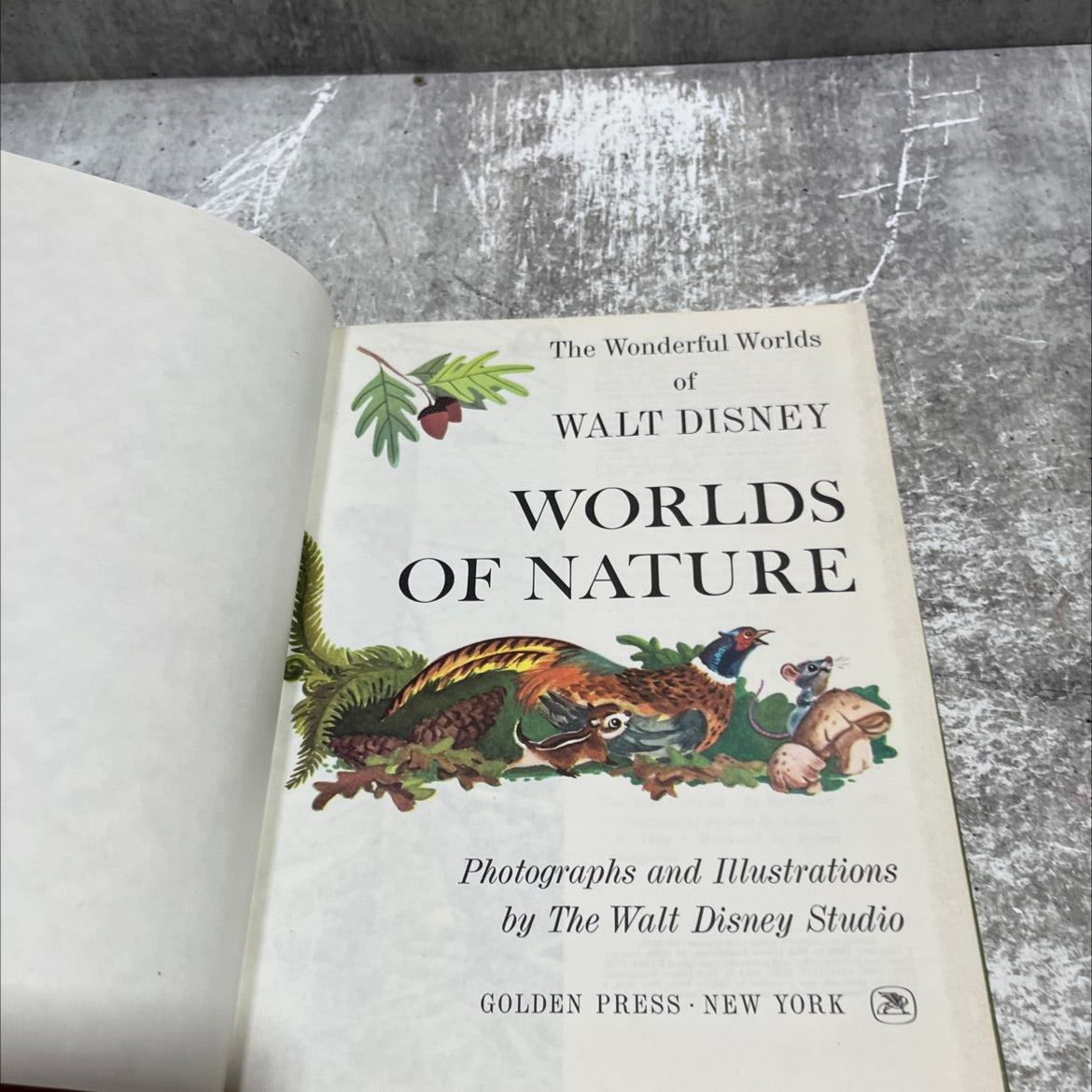 the wonderful worlds of walt disney worlds of nature book, by rutherford platt, 1965 Hardcover image 2