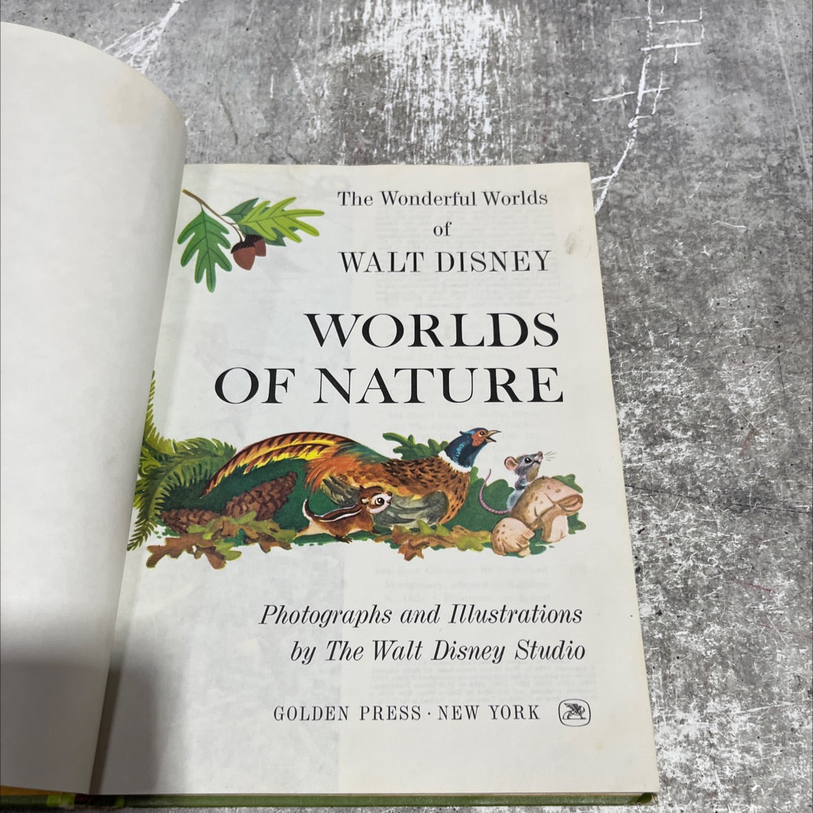 the wonderful worlds of walt disney worlds of nature book, by rutherford platt, 1965 Hardcover image 2
