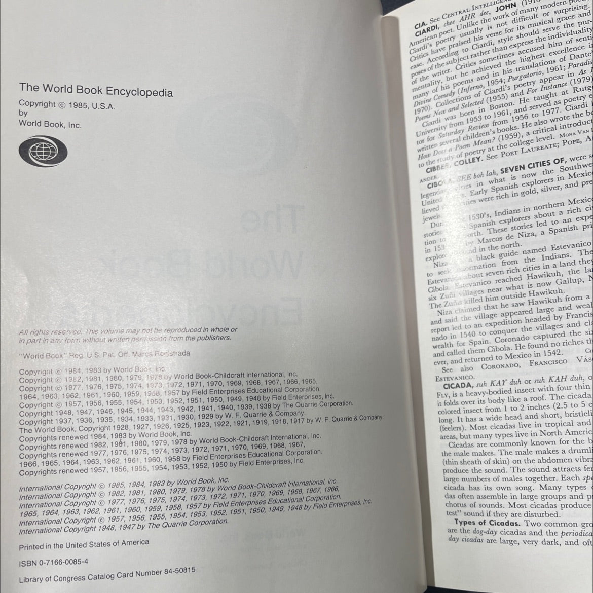 the world book encyclopedia ci-cz volume 4 book, by world book, inc., 1985 Leather image 3