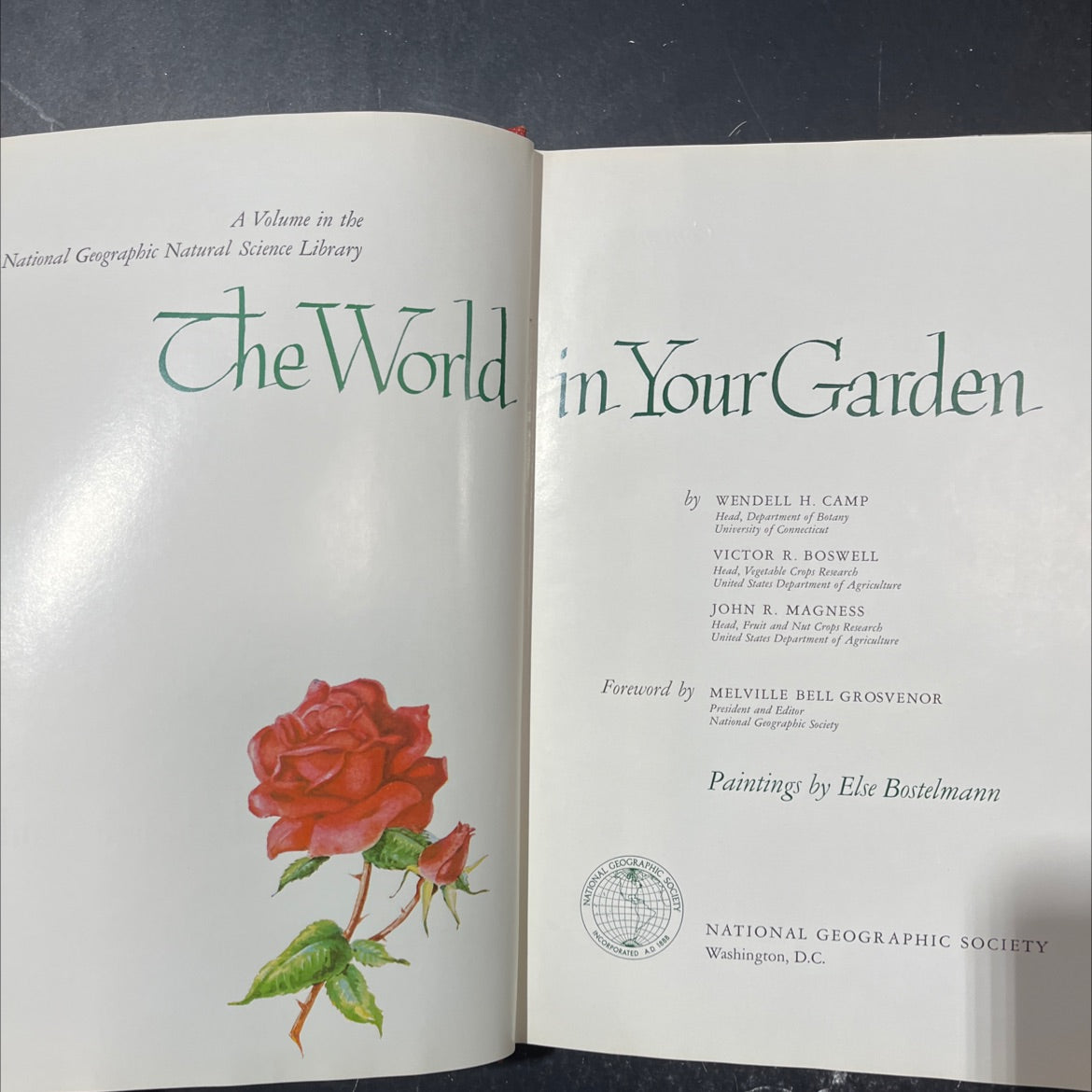 the world in your garden book, by Wendell H. Camp, Victor R. Boswell, John R. Magness, 1957 Hardcover image 2